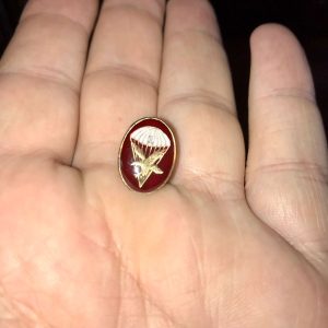 1 Bn maroon mini lapel pin