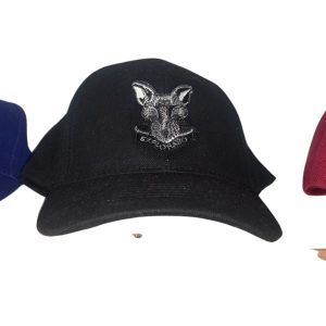 Intelligence Cap Black Fox
