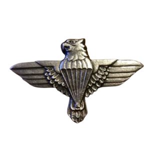 Badge Beret Metal 44 Karate Eagle