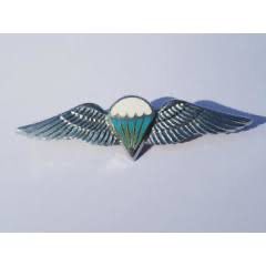 Advanced static wing Large